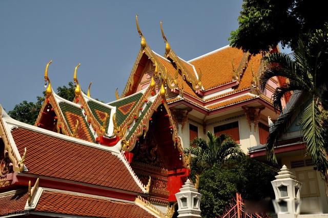 ���ߵϿ�̩������ʲô��˼ Ϊʲô��������˵���ߵϿ�