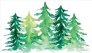 �̲��ʲô��˼ ���ʶ��Ը��̲��