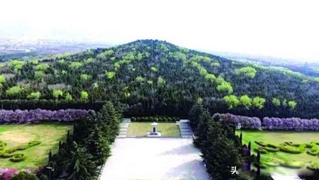 ��ʼ����ĹΪʲô���ڵ�����ԭ�� �������������ڵ�����