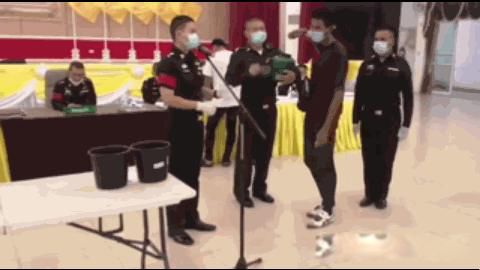 ̩������Ϊʲô��Ը�⵱�� ��������������һ�������