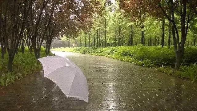 ��֢��ʲôԭ����ɵ� �����ʸ߼������ص���