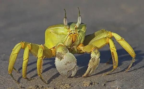 �����зŮ��ʲô��˼ ������ż��ʱ��ҪԶ��