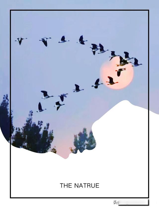 ����һ,һ����,������,��������ʲô��˼ ����������������ԭ��