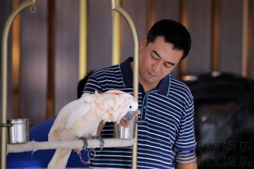 �̲��ʲô��˼ Ϊʲô�̲����ô���˺�