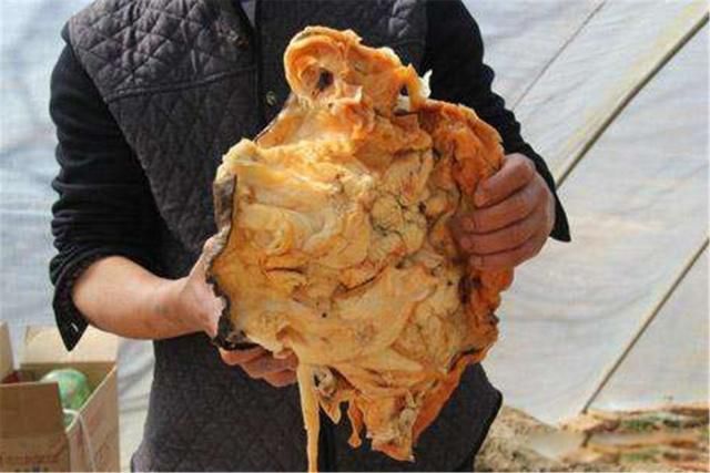 ̫��ͷ�϶�����ʲô��˼ ̫�굽����ʲô����