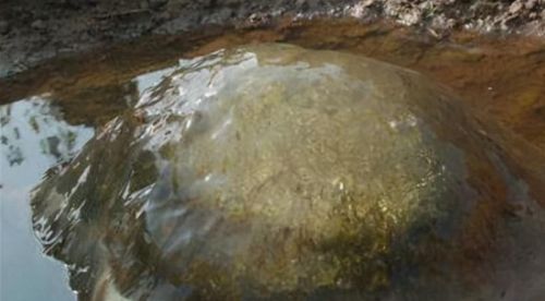 ̫��ͷ�϶�����ʲô��˼ ̫�굽����ʲô����