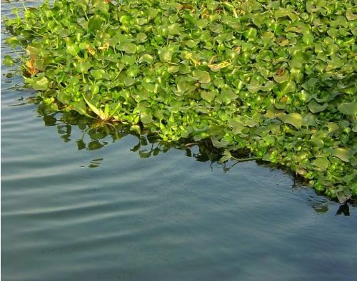 ̫��ͷ�϶�����ʲô��˼ ̫�굽����ʲô����