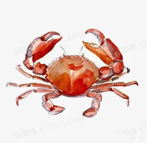 �зŮ��ʲô��˼ �����Ĵ�ǯ���˵��������