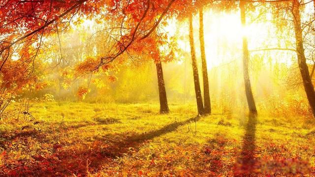 �������ҵ����������� ����δ��֮��û�о�����