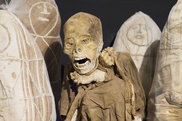 ѳ���ƶ�ʲôʱ��ϳ� �������ֲп�а����ƶ�