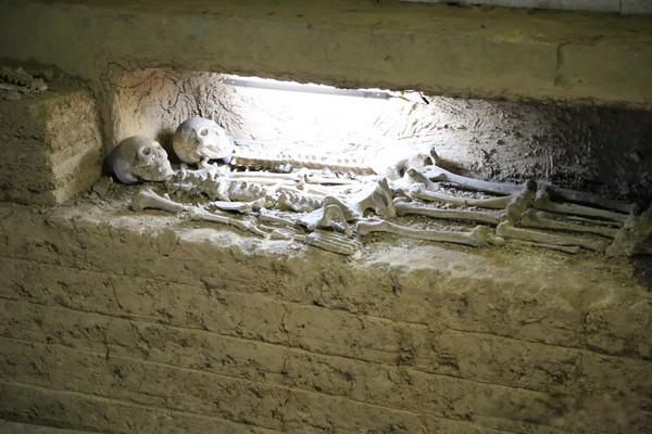 ѳ���ƶ�ʲôʱ��ϳ� �������ֲп�а����ƶ�