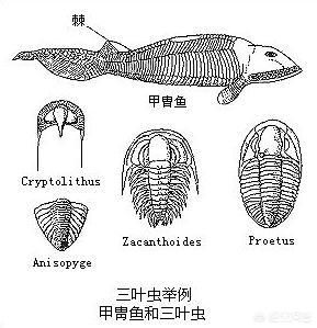 一生二,二生三,三生万物出自哪里 含有很深邃的世界本原道理