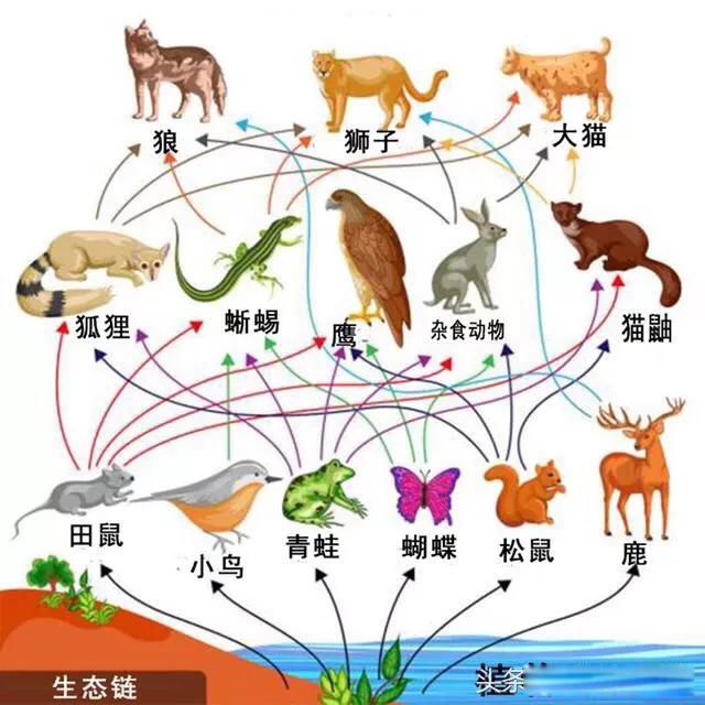 һ�����������������������Ȼ ���������������ʲô