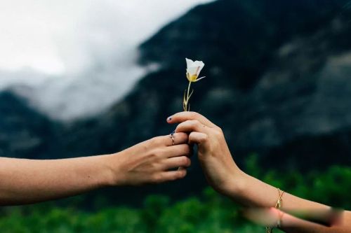 �Ϲ���������С��Ӧ����ô�� ��С���Ƿ�����