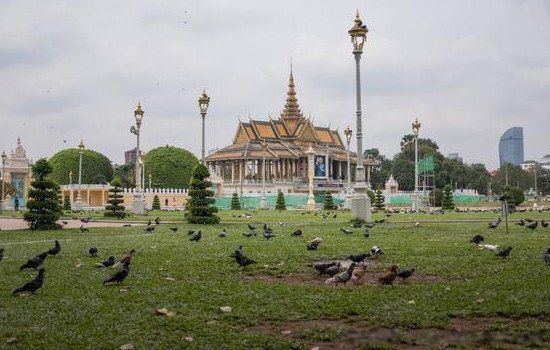 ����կ���������ô�� �����Ǽ���կ�����ĸ�����