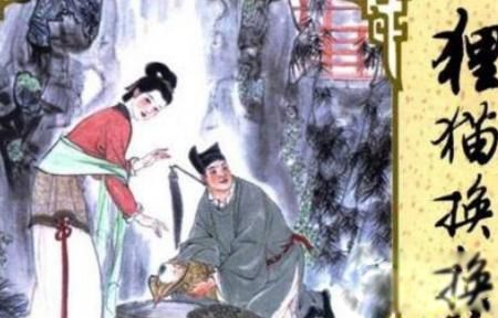 �����������è��̫�ӵĹ��¼�� ��ʷ����è��̫�ӵ���ʵԭ��