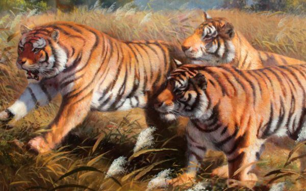 ��̫��2022����Ф��ʲô 2022�그̫�����Ф���ļ���