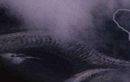 ����������˻��Ǹ��������� �����ĵ����������