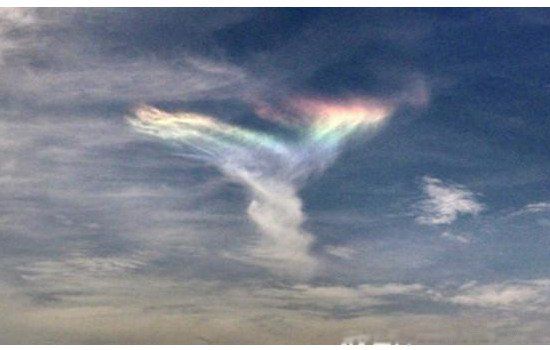 ����������˻��Ǹ��������� �����ĵ����������