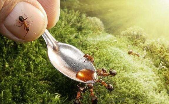 ����������ʲô������������ �����ϵ���򵥷���