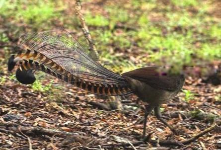 �������ĸ����ҵĹ��� ����ͼƬ��ȫ����Ǯһֻ