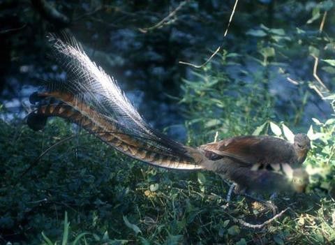 �������ĸ����ҵĹ��� ����ͼƬ��ȫ����Ǯһֻ