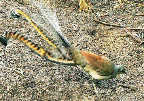 �������ĸ����ҵĹ��� ����ͼƬ��ȫ����Ǯһֻ