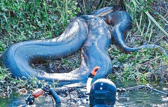 ��ʷ���������߽�ʲô���� �������ж೤����