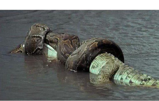 ��ʷ���������߽�ʲô���� �������ж೤����