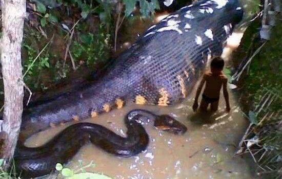 ��ʷ���������߽�ʲô���� �������ж೤����