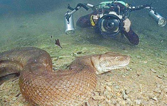 ��ʷ���������߽�ʲô���� �������ж೤����