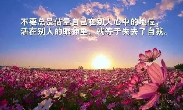 �����Ƚϻ�Ķ������ 15�䶶����������ٵĶ̾�