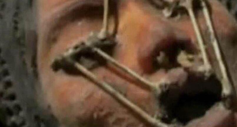 ����Ůʬ��� �������·�������Ůʬ�������