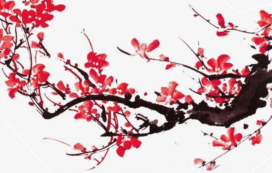 我国的国花是什么花 国花是不是牡丹花