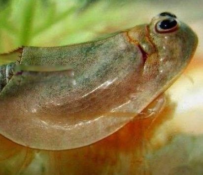 ʮ����춯�����а� �ֲ�������������ͼƬ