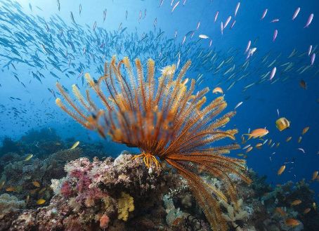 ʮ����춯�����а� �ֲ�������������ͼƬ