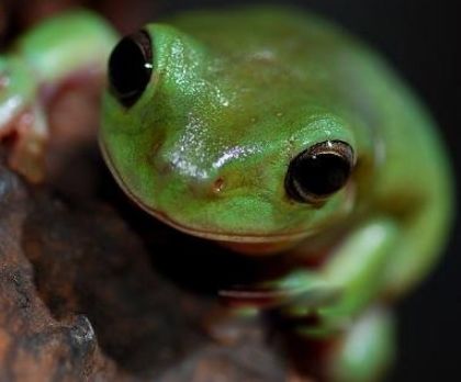 ʮ����춯�����а� �ֲ�������������ͼƬ