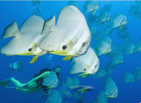 ʮ����춯�����а� �ֲ�������������ͼƬ