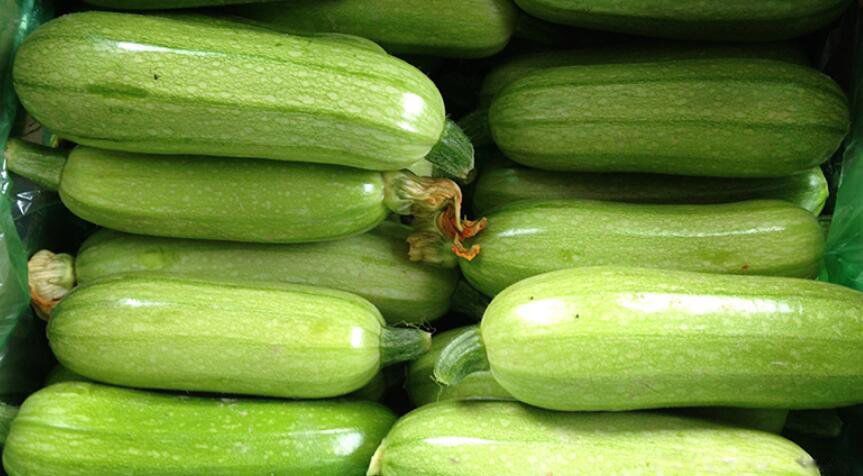 ������ʲô�� �ж��������Ϲ�Ϊʲôû�б���