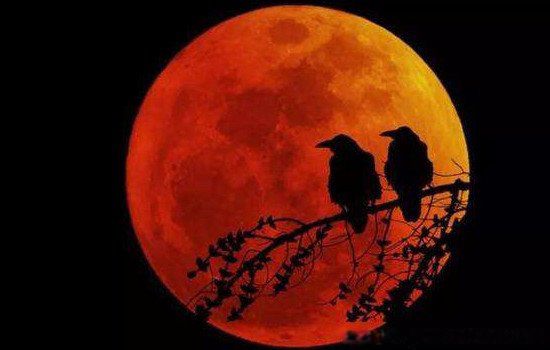 ʲô��Ѫ��?Ѫ���������� Ѫ����������¼�Ԥʾʲô