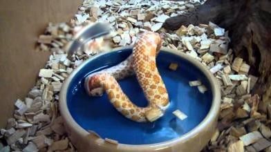 ������Ϊʲô���Լ���β�� �����Լ�������