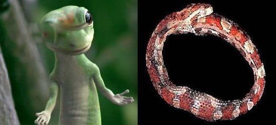 ������Ϊʲô���Լ���β�� �����Լ�������