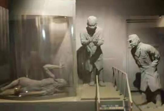 ��̫��731������ 731������Ѫ��Ѫ����ʵ�����