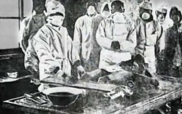 ��̫��731������ 731������Ѫ��Ѫ����ʵ�����