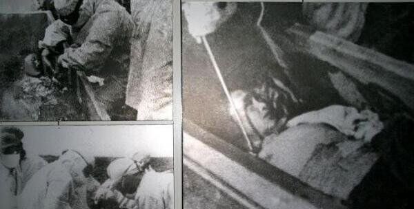 ��̫��731������ 731������Ѫ��Ѫ����ʵ�����