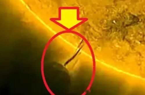 99�걣��Э����ʲô�� ����ʲô���¼���Ҫǩ�ı���Э��