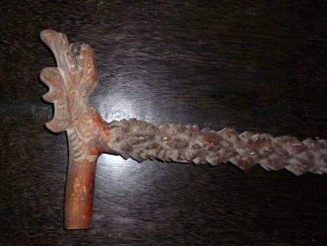 降龙木是什么树图片 辟邪降龙木的功效与作用