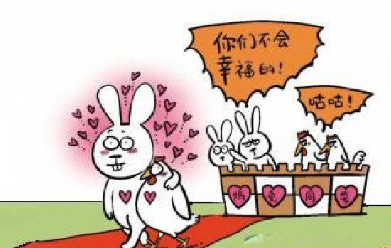 属鸡的和什么属相相克 与鸡相冲相克是什么生肖