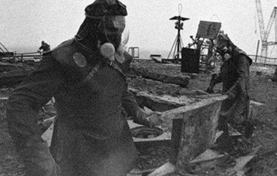 ��ʬ����Ĵ����� �̵�����ʬ�¼���ʵ����