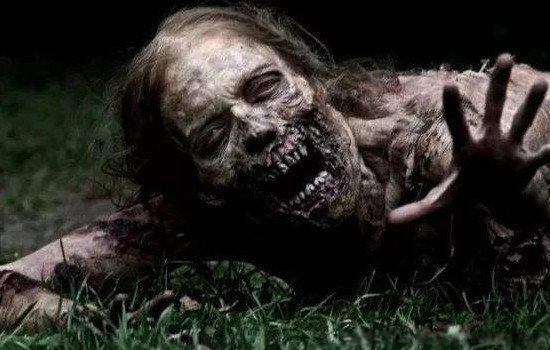 ��ʬ����Ĵ����� �̵�����ʬ�¼���ʵ����